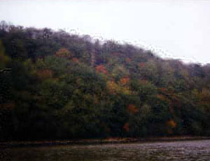 leafpeeper.JPG